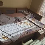 макси * バンスコ