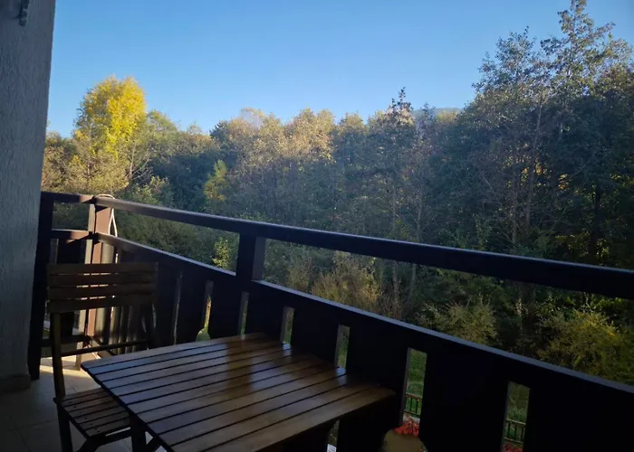 макси * 반스코