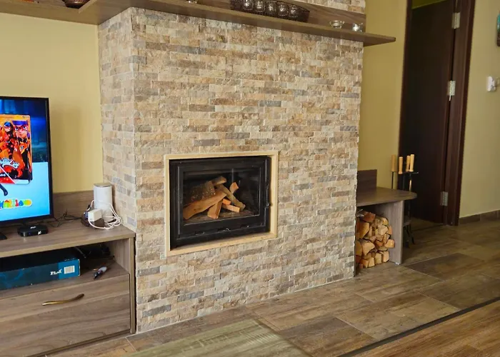 макси 班斯科