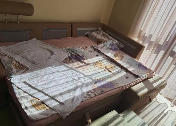 макси * 반스코